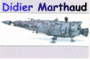 Coordonnées de Didier Marthaud