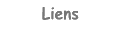 Liens